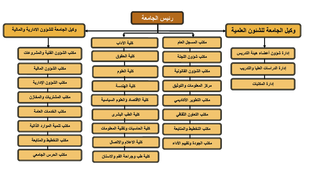 هيكل الأكاديمية